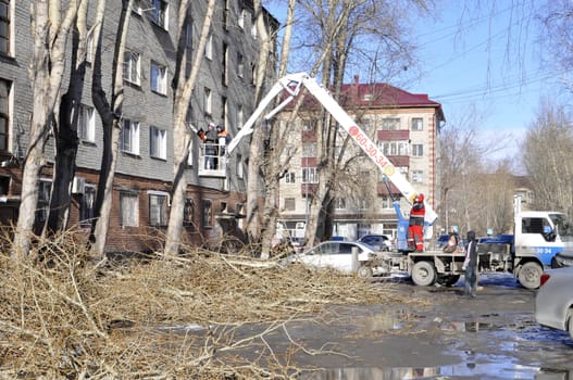 Spring cutting of trees in the city. Tyumen