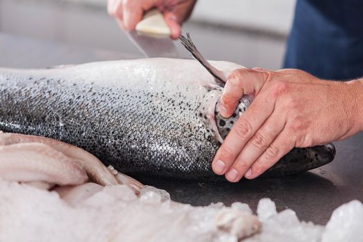 Man cutting a pink salmon