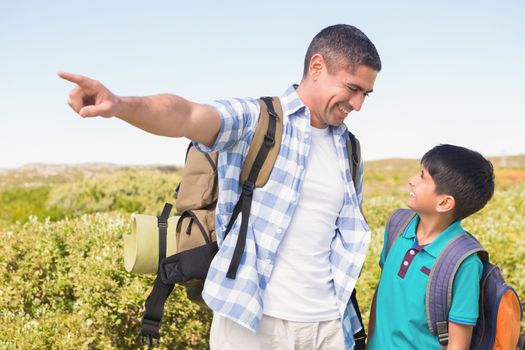 Father and son hiking in the mountains on a sunny day