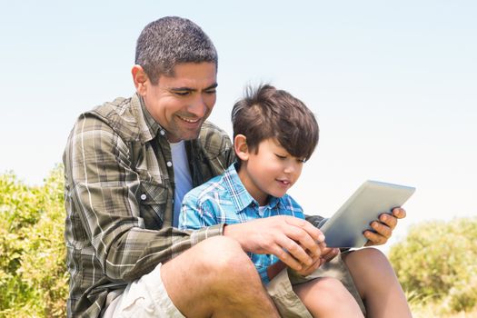 Father and son in the countryside on a sunny day