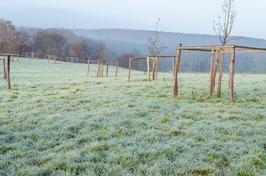 Hoar frost on the grass in a large meadow. Recording after a night of frost.