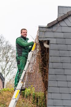 Young man on a ladder while cleaned the gutter.