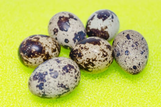 Six brown patterned quail eggs against a green background.