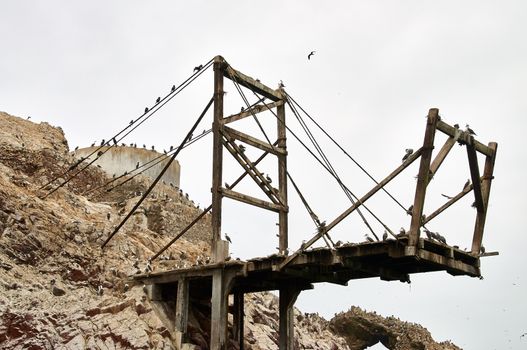 Birds on platform Ballestas Islands, Paracas, Peru old bridge pier