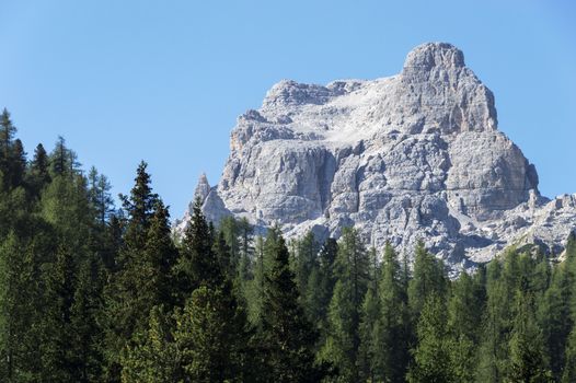 woods and mountains in summer season in the italian alps, dolomites - Italy