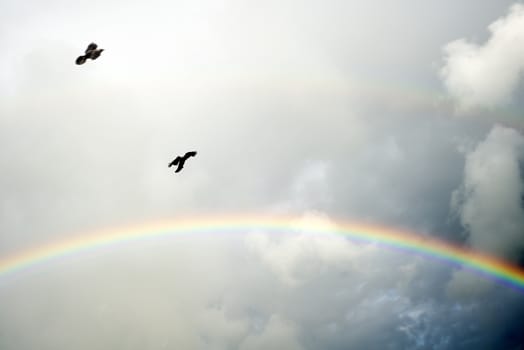 two crows flying in the storm winds with a rainbow in the background