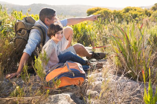 Father and son hiking in the mountains on a sunny day