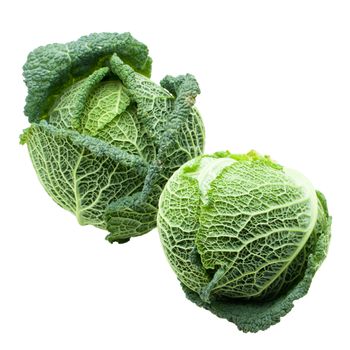 Two heads of fresh ripe Savoy cabbage isolated
