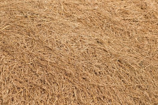 View to straw closeup as background