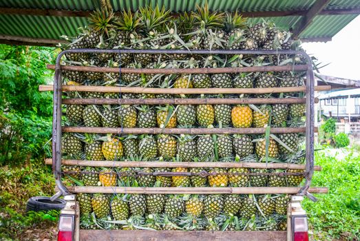 Pineapple on the truck at market, Thailand