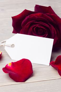 Rose petals and white card on white background