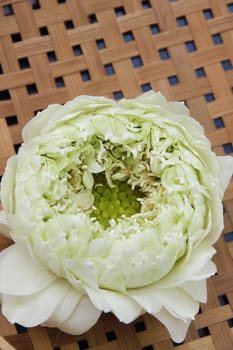 Water lily color green on baskets made ​​of bamboo.