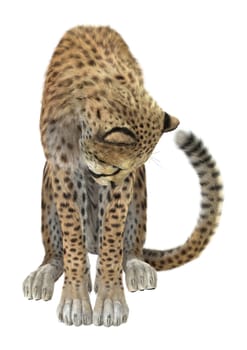 3D digital render of a cheetah isolated on white background