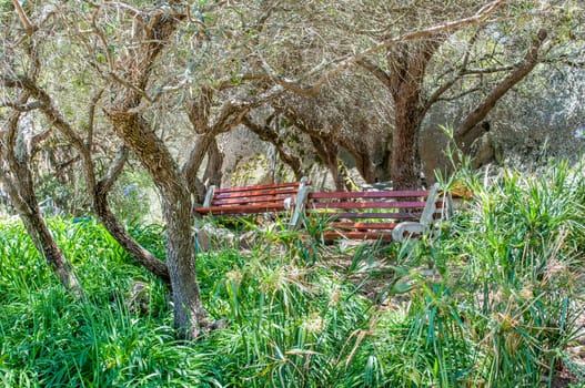 Shady resting spot at the Afrikaans Language Monument in Paarl, South Africa