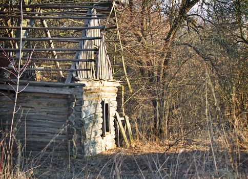 Among the thickets of trees and shrubs is an abandoned house with a collapsed roof, no Windows. In it is empty. The area around the house was overgrown with trees, bushes, grass.