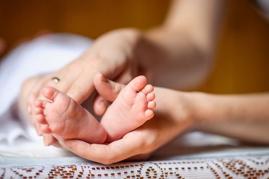 Newborn baby feet in mother's hands inside.