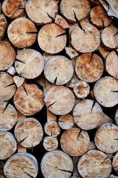 Shot of a pile of cut tree trunks ideal for backgrounds and textures