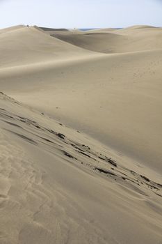 Spain. Canary Islands. Gran Canaria island. Dunes of Maspalomas