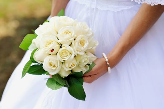 Wedding bouquet of white roses in bride's hands