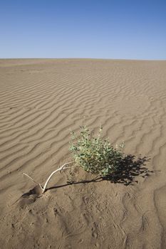 Sand background, wonderful saturated travel theme