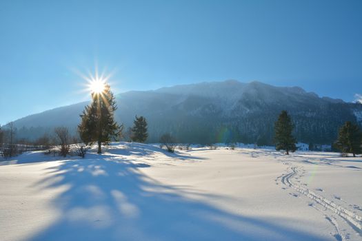 ski slope in powder snow, mountain landscape