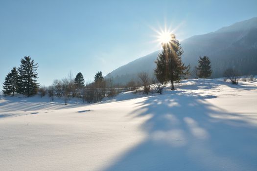 ski slope in powder snow, mountain landscape