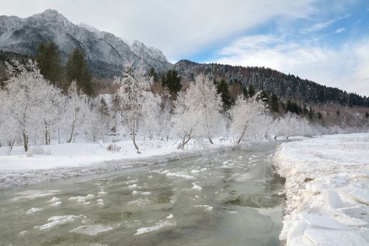 Frozen river and trees in winter season.