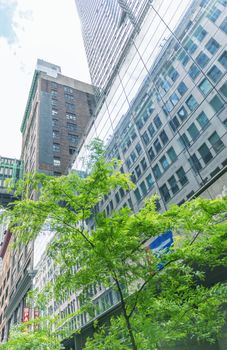 Buildings of New York City.