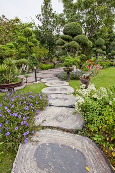 Wooden stump path with beautiful flowers in park.