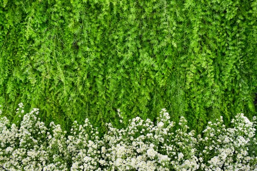 Green and white flowers arrangement background