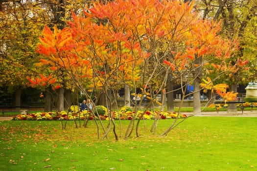 autumn park