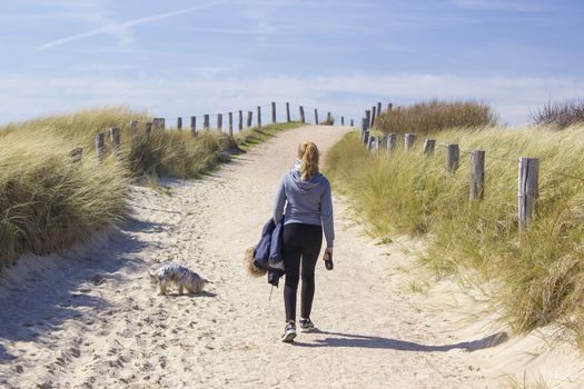 Walking with the dog in the dunes, Zoutelande, Netherlands