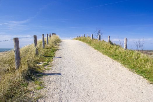  Path trough the dunes, Zoutelande, the Netherlands