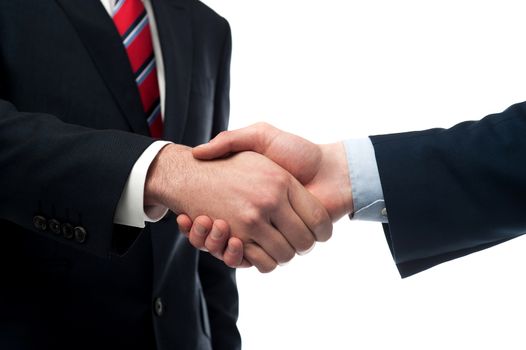 Cropped image of businessmen handshaking