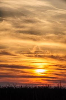 flying storks birds silhouettes on dramatic orange sunset background