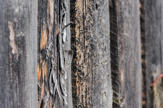 cracked aged weathered wooden boards, selective focus