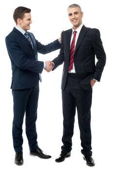 Handsome businessmen shaking hands