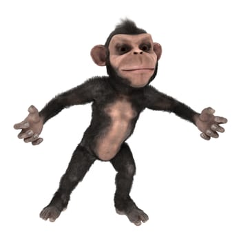 3D digital render of a little chimpanzee isolated on white background