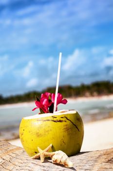 Coconut with drinking straw on a palm tree at the sea