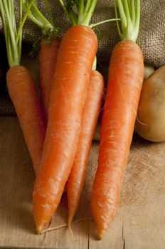 carrots that are out of the jute bag ready to be cleaned