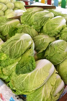 Chinese lettuce on sale in the market