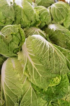 Chinese lettuce on sale in the market