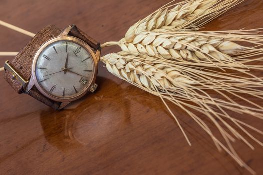 old wrist watch on a wooden base