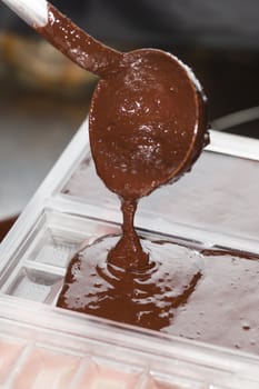 Ingredients for preparation of artisanal chocolate bar with dried fruits