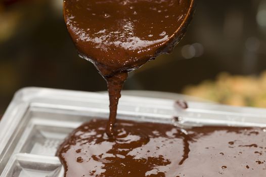 Ingredients for preparation of artisanal chocolate bar with dried fruits