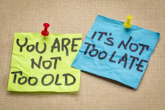 You are not too old, it is not too late. Motivational advice or reminder on colorful sticky notes.