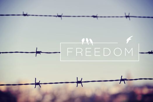 Freedom motivational inspiring quote and landscape with barbed wire fence background. Vintage soft light hipster style.
