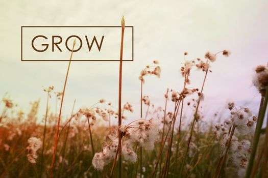 Grow motivational inspiring quote concept with wildflower landscape background. Vintage soft light hipster style.