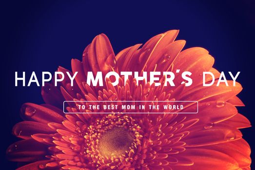 Happy Mother day quote concept vintage retro flower close up background ideal for greeting card and poster design.