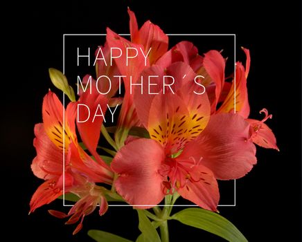 Elegant Happy Mother day flower bouquet background ideal for greeting card and poster design.
